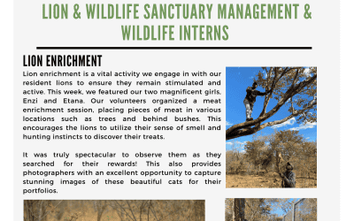 Victoria Falls Wild Hub