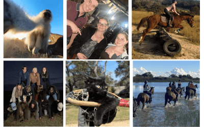 Antelope Park July Newsletter